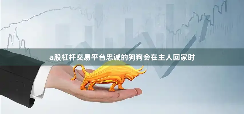 a股杠杆交易平台忠诚的狗狗会在主人回家时
